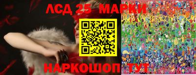 гидропоника Новозыбков