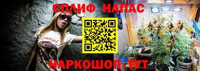 стафф Новокубанск