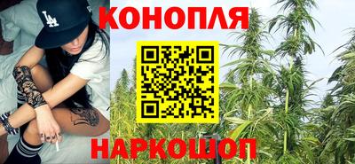 гидропоника Новозыбков