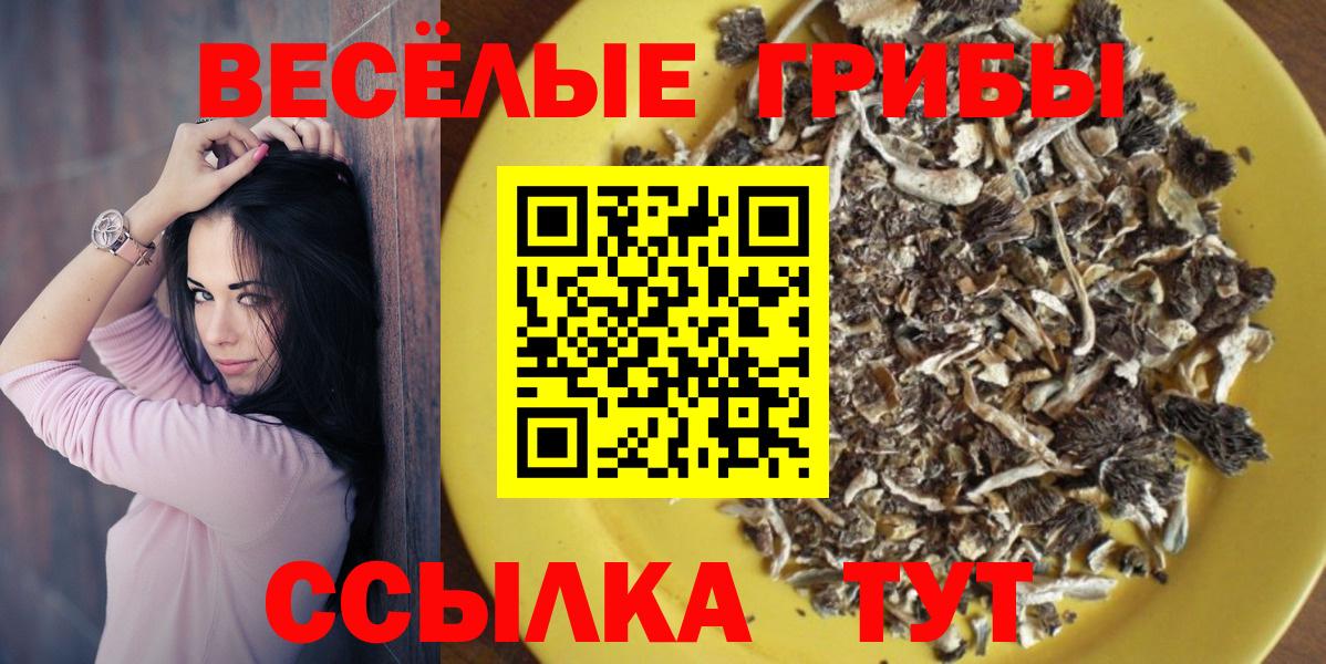 Сосновоборск  Псилоцибиновые грибы Magic Shrooms  Вход с VPN 