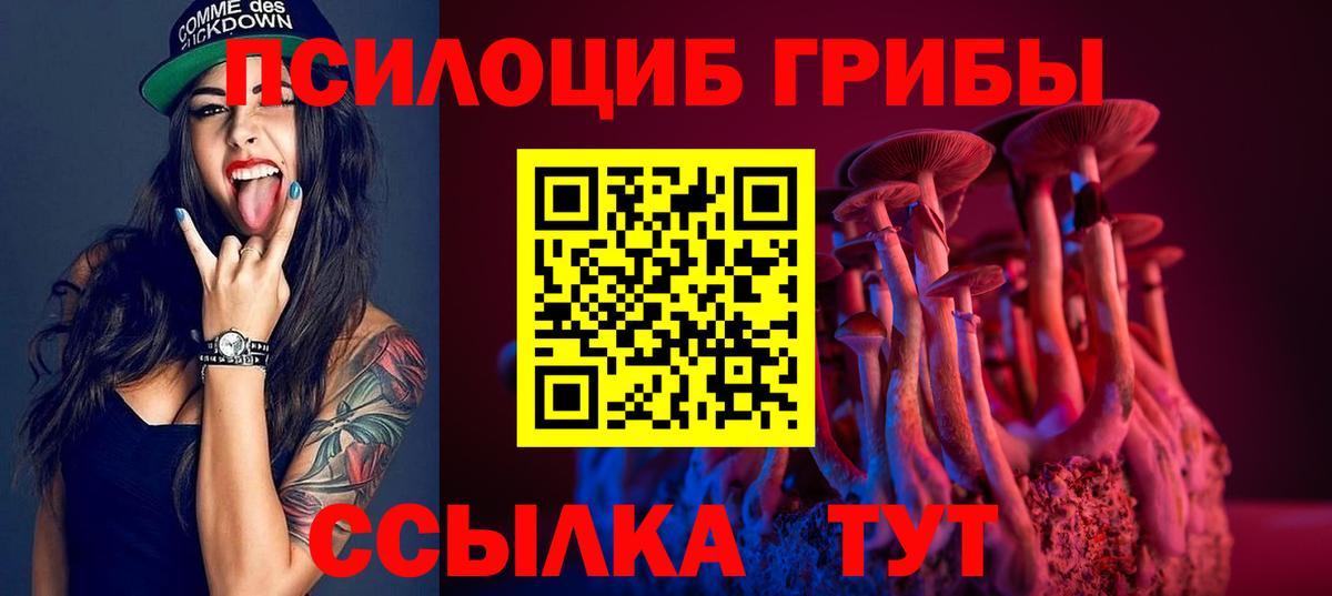 Псилоцибиновые грибы GOLDEN TEACHER Сосновоборск